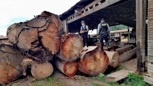  Más 32 mil pies tablares de madera es inmovilizado en Juanjui