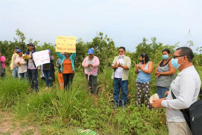  Reformularán proyecto de agua en Tingo de Saposoa para impulso del cultivo de naranja