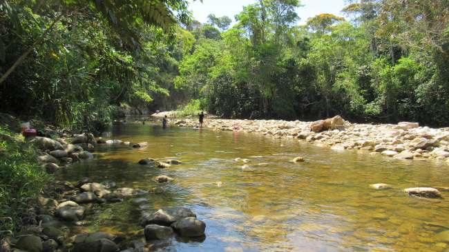  San Martín une esfuerzos para conservar los ecosistemas y las fuentes de agua
