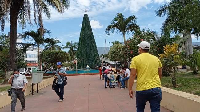  Sólo árboles navideños instalarán en plaza mayor de Tarapoto